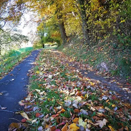 Idyllic Farm With Scenic Views And Concierge By Swisshut בית נופש זיגריזוויל