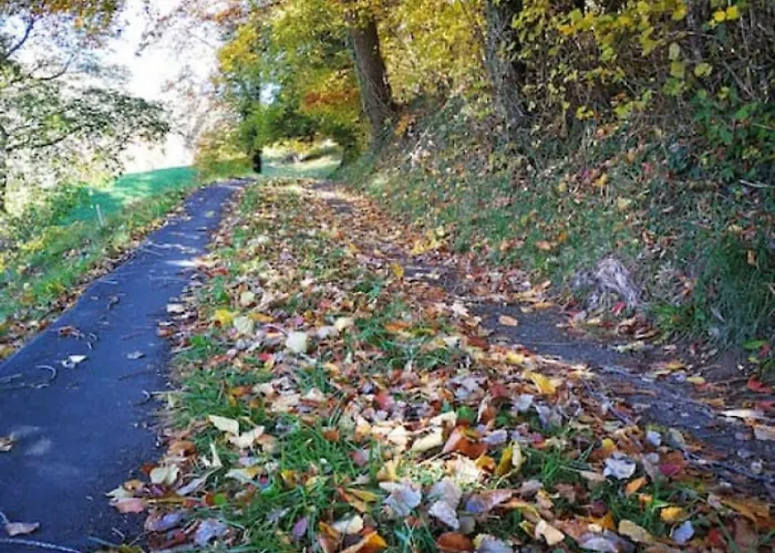 Idyllic Farm With Scenic Views And Concierge By Swisshut בית נופש זיגריזוויל